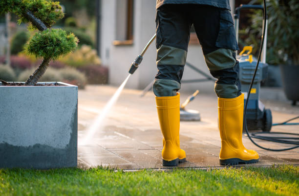 Best Affordable Pressure Washing  in Arlington, OH
